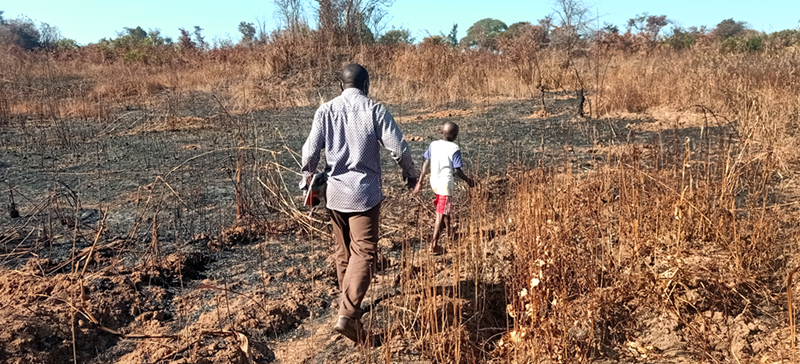In Congo la terra non è più nutrimento di chi la vive: come la scuola può fronteggiare questo fenomeno