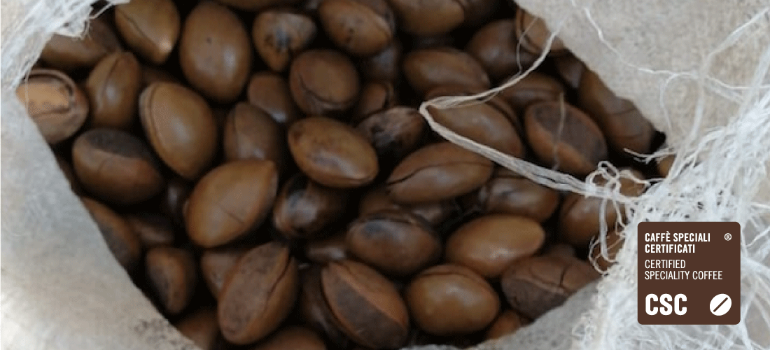 L’associazione Caffè Speciali Certificati sostiene i caficultori in Guatemala