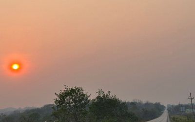 Guatemala: sovranità alimentare e adattamento al cambiamento climatico