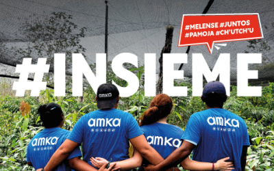#INSIEME: al via la nuova campagna dei volontari